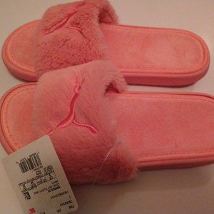 Puma slides